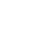 vicente romero icon